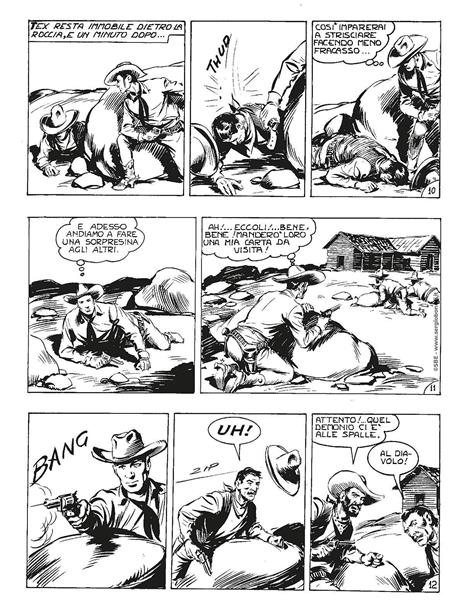 Tex collezione book. Vol. 6: Doppio gioco - Gianluigi Bonelli - 2