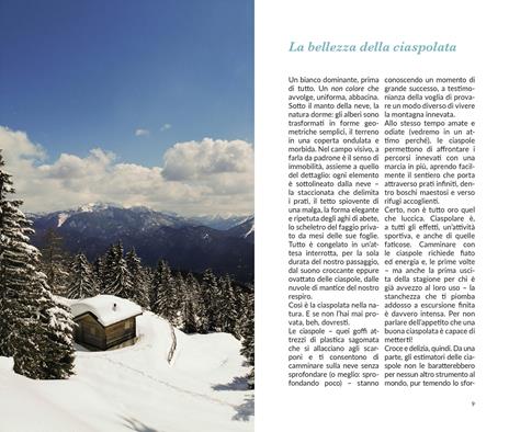 Escursioni con le ciaspole. 15 itinerari tra le montagne venete - Davide Zambon - 2