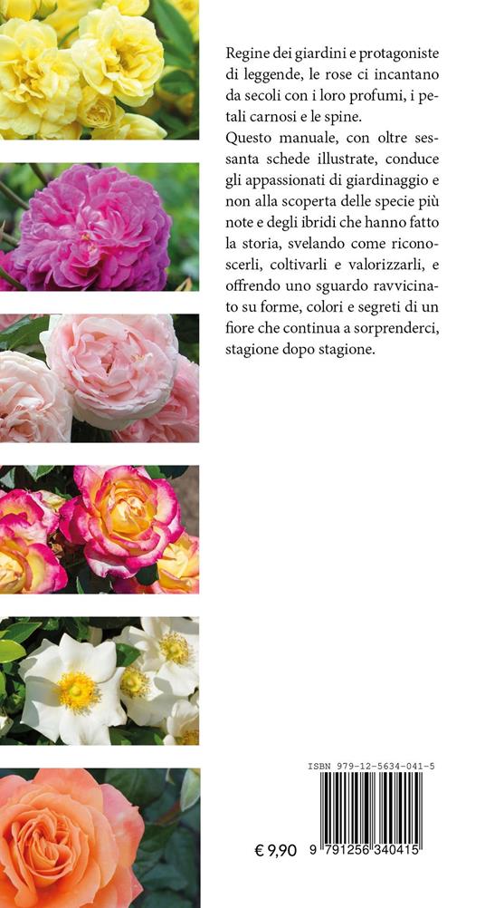 Rose. Conoscerle e coltivarle - Marco Alberti - 3