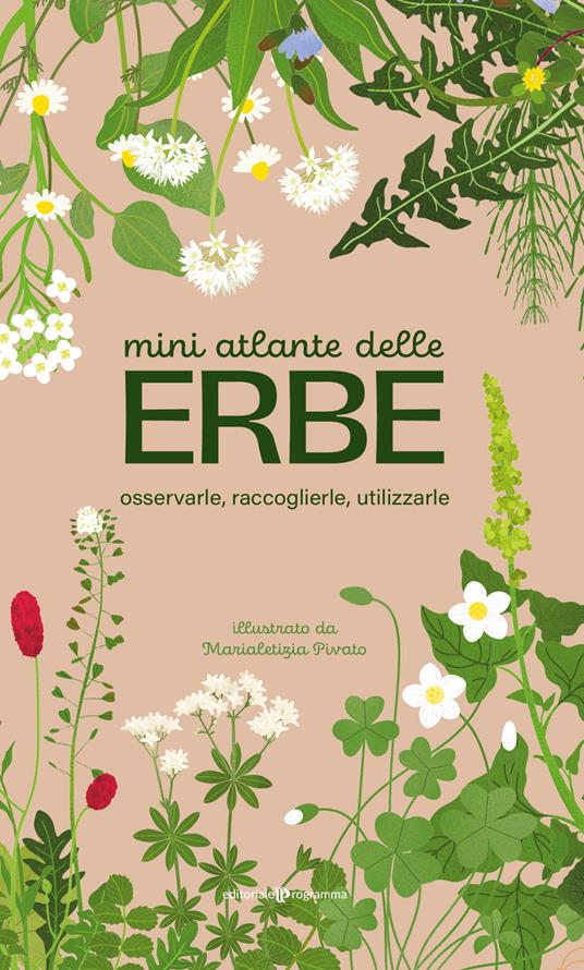 Mini atlante delle erbe. Osservarle, raccoglierle, utilizzarle - copertina