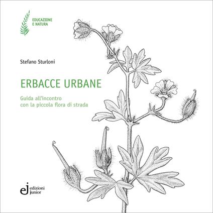 Erbacce urbane. Guida all'incontro con la piccola flora di strada - Stefano Sturloni - copertina