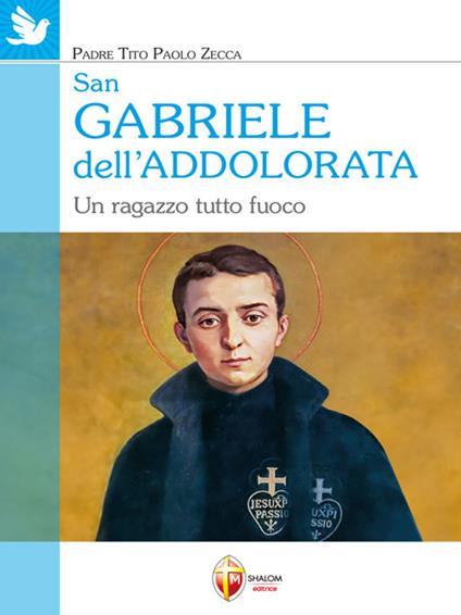 San Gabriele dell'Addolorata. Un ragazzo tutto fuoco - Tito Paolo Zecca - ebook