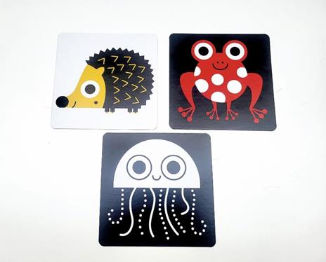 Animali. Flash cards ad alta leggibilità. Ediz. a colori - Benedetta Nigelli - 4