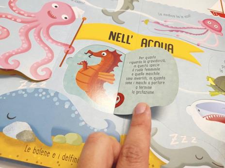 Animali. I primi libri del perché. Ediz. a colori - 4