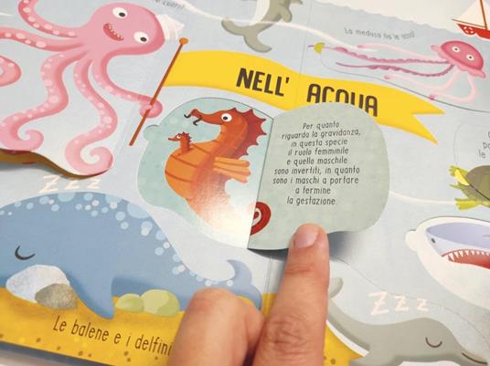 Animali. I primi libri del perché. Ediz. a colori - 4