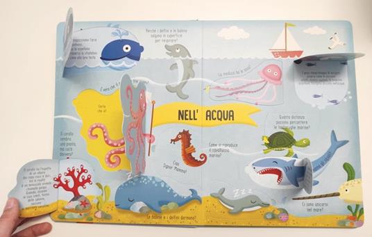 Animali. I primi libri del perché. Ediz. a colori - 5