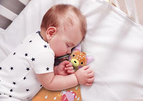 Volpe. Il libro che fa la nanna. Ediz. a colori - 2