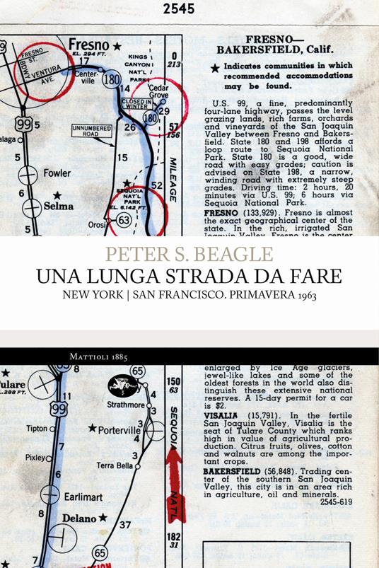 Una lunga strada da fare. New York/San Francisco. Primavera 1963 - Peter S. Beagle,Nicola Manuppelli - ebook