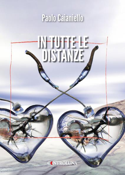 In tutte le distanze - Paolo Caianiello - copertina