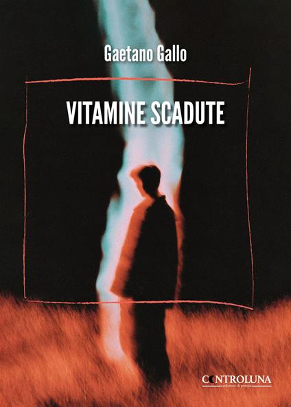 Vitamine scadute - Gaetano Gallo - copertina