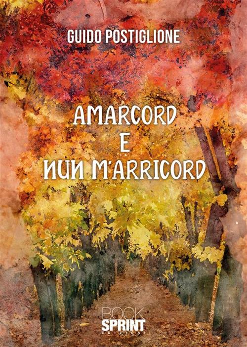 Amarcord e nun m’arricord - Guido Postiglione - copertina
