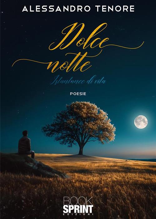 Dolce notte. Istantanee di vita - Alessandro Tenore - copertina
