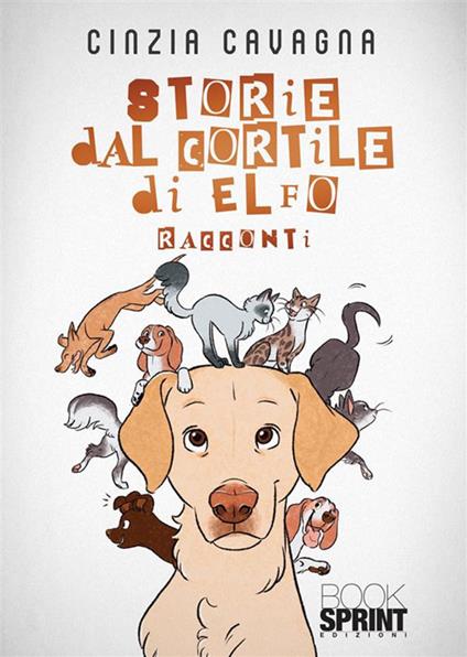 Storie dal cortile di Elfo - Cinzia Cavagna - copertina