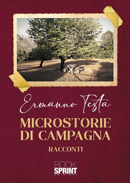 Microstorie di campagna - Ermanno Testa - ebook