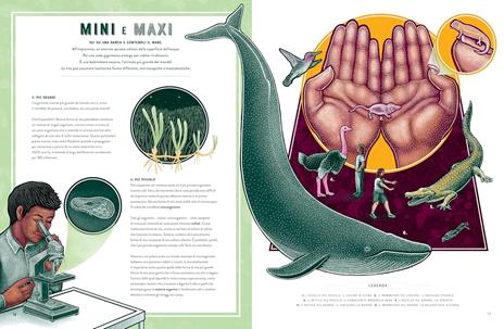 Vita. Le meraviglie della biodiversità. Album scoperte - Jennifer Smith - 3