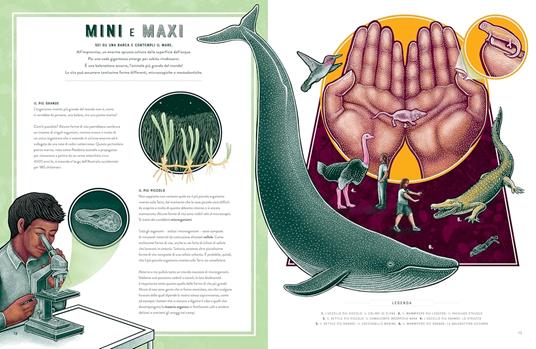 Vita. Le meraviglie della biodiversità. Album scoperte - Jennifer Smith - 3