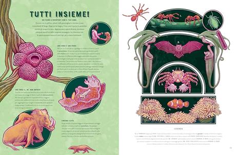 Vita. Le meraviglie della biodiversità. Album scoperte - Jennifer Smith - 4