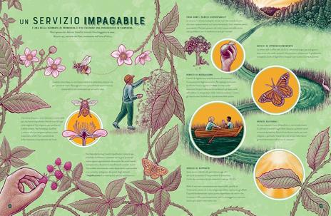 Vita. Le meraviglie della biodiversità. Album scoperte - Jennifer Smith - 5