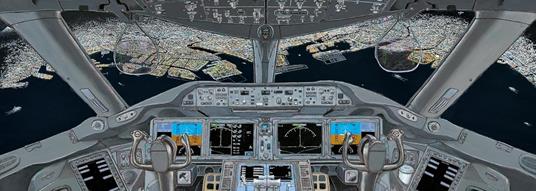 Guida anche tu! Ediz. illustrata - Etsuyoshi Miyamoto,Toshikado Hajimi - 7