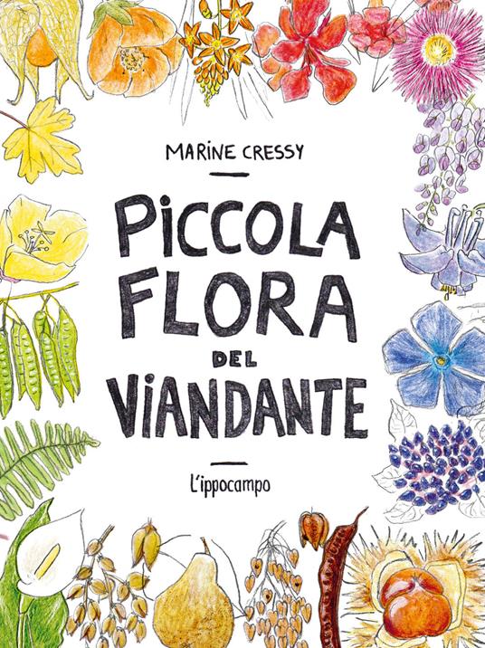 Piccola flora del viandante - Marine Cressy - copertina