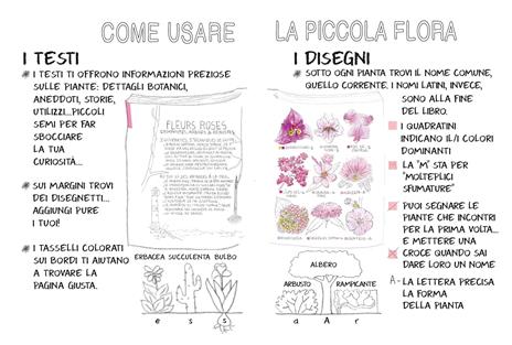 Piccola flora del viandante - Marine Cressy - 2