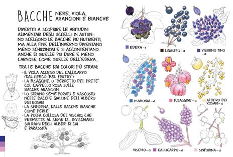 Piccola flora del viandante - Marine Cressy - 4