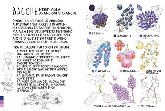 Piccola flora del viandante - Marine Cressy - 4