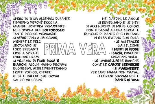 Piccola flora del viandante - Marine Cressy - 5