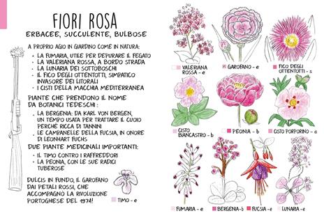 Piccola flora del viandante - Marine Cressy - 6