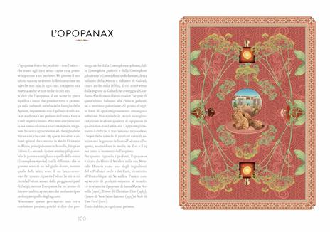 Atlante di botanica profumata. Essenze complementari. Ediz. illustrata - Jean-Claude Ellena - 5