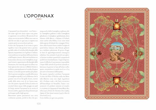 Atlante di botanica profumata. Essenze complementari. Ediz. illustrata - Jean-Claude Ellena - 5