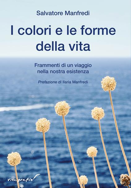 I colori e le forme della vita. Frammenti di un viaggio nella nostra esistenza - Salvatore Manfredi - copertina