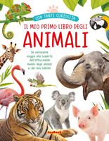 Nome prodotto