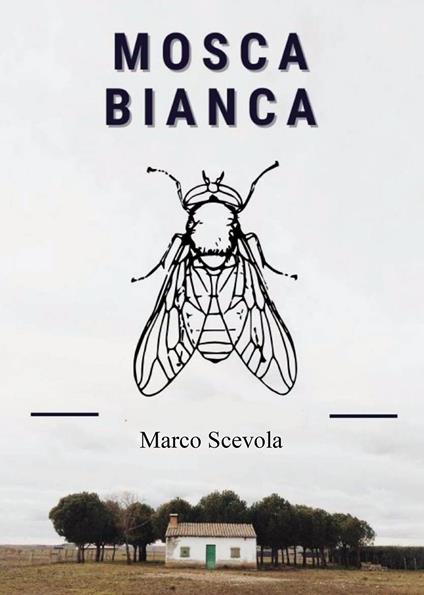 Mosca bianca - Marco Scevola - copertina