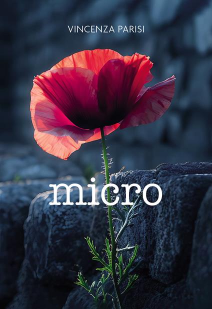 Micro - Vincenza Parisi - copertina