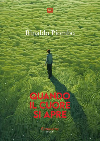 Quando il cuore si apre - Rinaldo Piombo - ebook