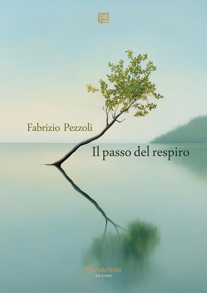 Il passo del respiro - Fabrizio Pezzoli - ebook