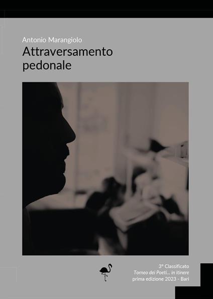Attraversamento pedonale - Antonio Marangiolo - copertina