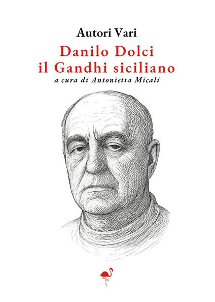 Danilo Dolci. Il Ghandi siciliano - copertina