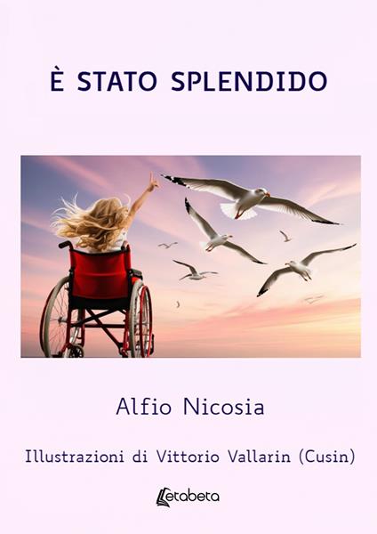 È stato splendido - Alfio Nicosia - copertina
