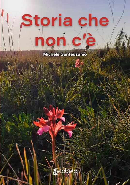 Storia che non c'è - Michele Santeusanio - copertina