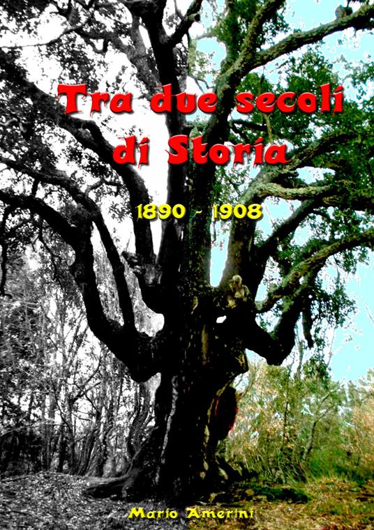 Tra due secoli di storia. 1890-1908 - Mario Amerini - copertina