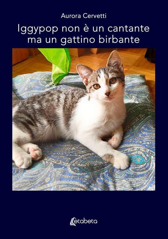 Iggypop non è un cantante ma un gattino birbante - Aurora Cervetti - copertina