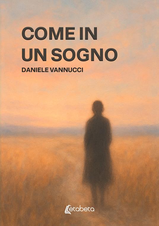Come in un sogno - Daniele Vannucci - copertina
