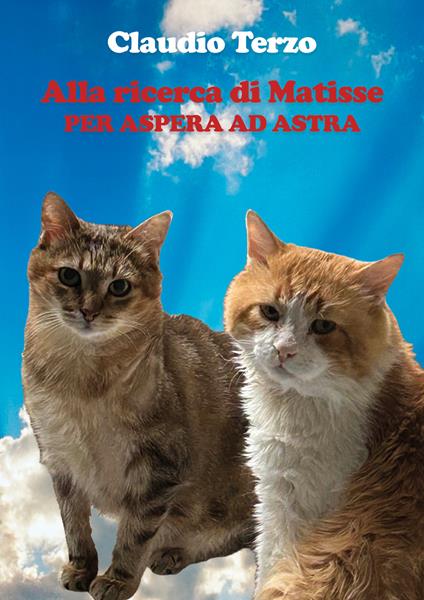 Alla ricerca di Matisse. Per aspera ad astra - Claudio Terzo - copertina