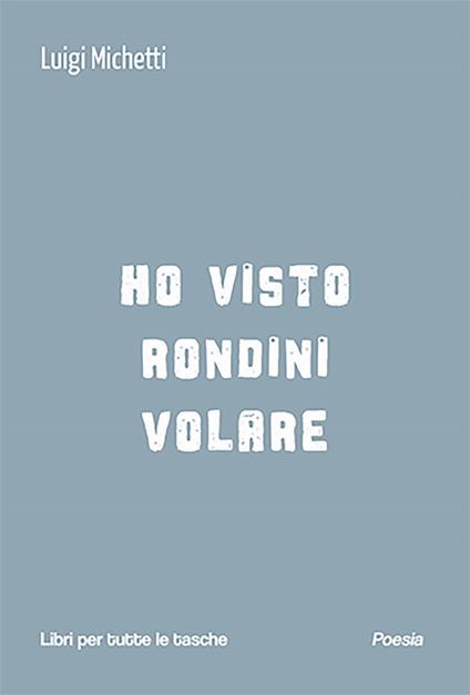 Ho visto rondini volare - Luigi Michetti - copertina