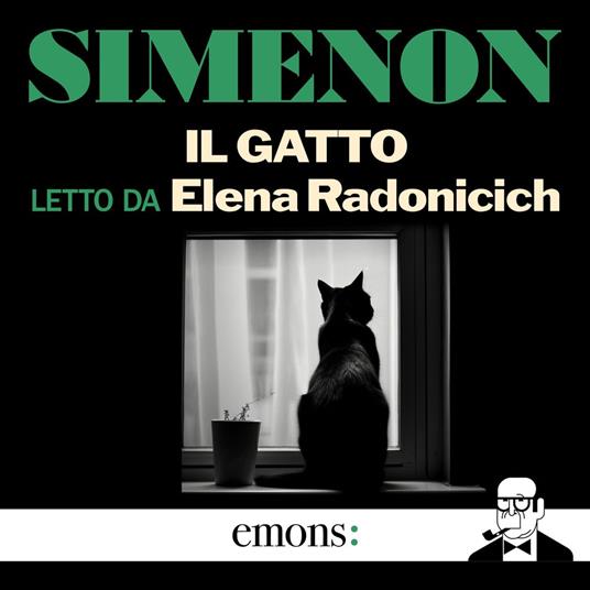 Il gatto