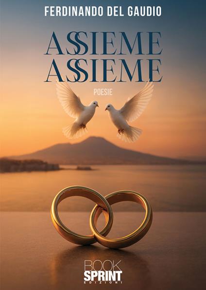 Assieme assieme - Ferdinando Del Gaudio - ebook