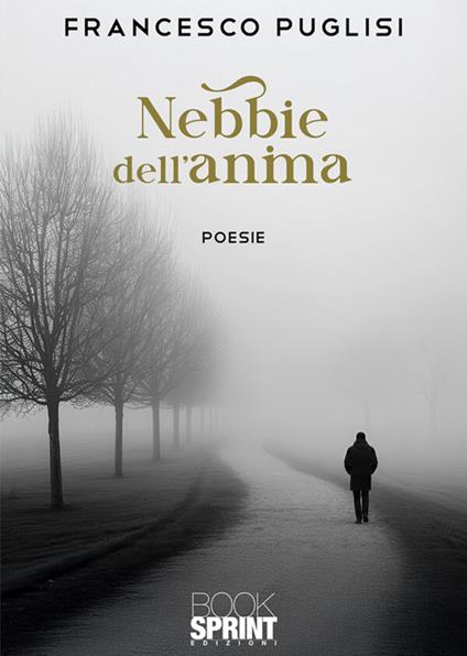 Nebbie dell'anima - Francesco Puglisi - copertina