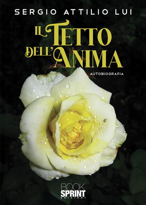 Il tetto dell'anima - Sergio Attilio Lui - copertina